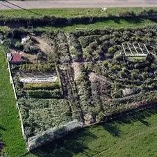 Un jardin en permaculture